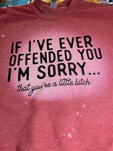 If I Offend You